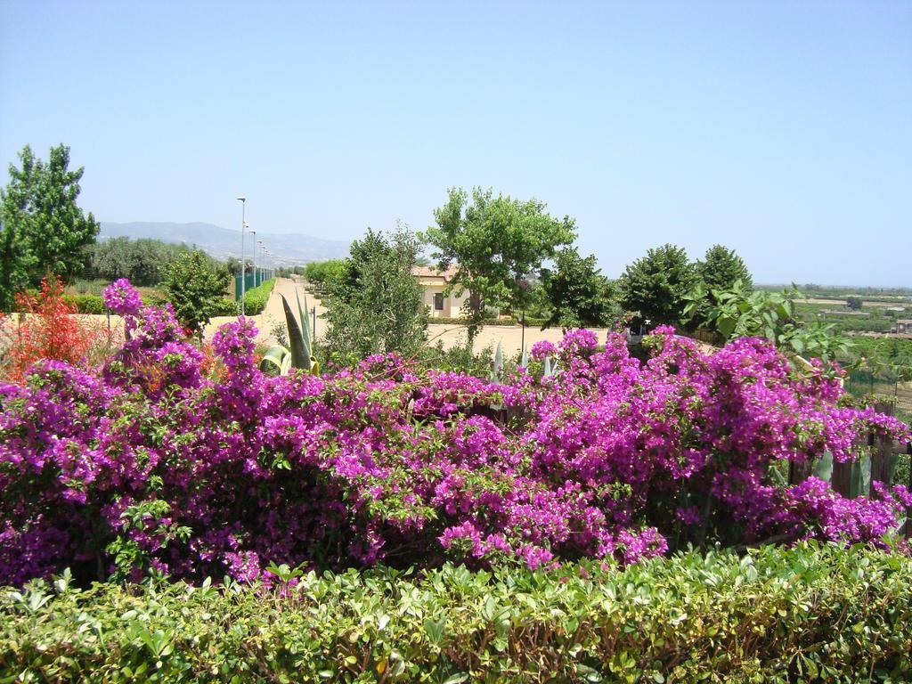 Tenuta Colle Degli Ulivi Sibari Exteriér fotografie